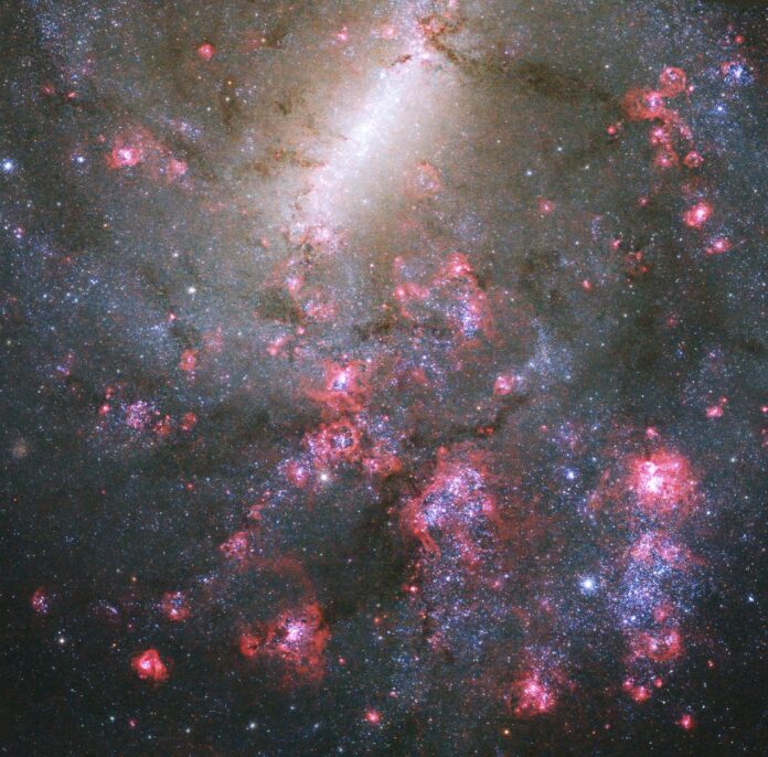 Hubble has obtained a multi-wavelength image of the galaxy NGC 5068 Hubble has obtained a multi-wavelength image of the galaxy NGC 5068