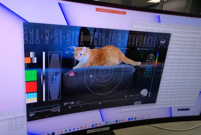 NASA transmits first ultra-high resolution video of cats from space