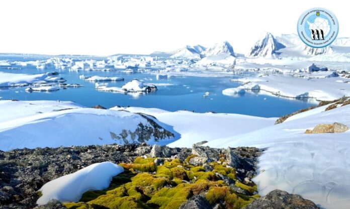 Scientists to study the distribution of silicones in the Antarctic