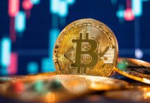 Bitcoin Price Forecast During US Government Shutdown bitcoin