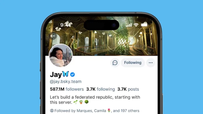 Bluesky gets blue ticks and an official verification system Bluesky gets blue ticks and an official verification system