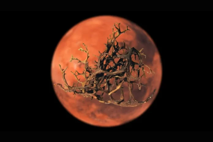 Researchers identify lichen species that can survive on Mars