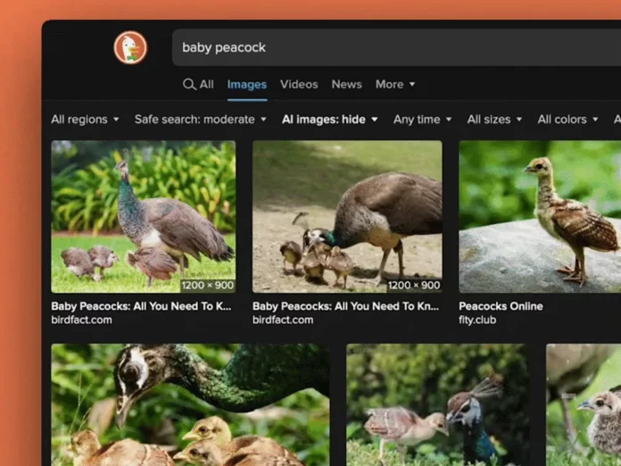DuckDuckGo allows you to filter AI-generated images