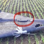 Russian “Shahed” attack drone