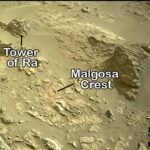 Biological vs. Geological: The Two Theories