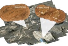 Life on Mars? Record Nickel Concentrations in Jezero Crater Signal Potential Biosignatures Record Nickel Concentrations in Jezero Crater Signal Potential Biosignatures