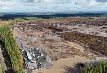 Google’s Finland Data Centers Halt Amid Environmental Concerns