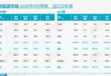 Chinese Electric Vehicle Exports Surge, Setting New Records