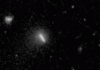 Euclid Telescope Spots Its First Brand-New Comet