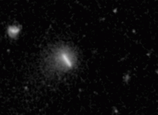 Euclid Telescope Spots Its First Brand-New Comet