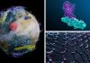NVIDIA Expands Access to Advanced AI Technologies for European Scientific Community