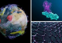 NVIDIA Expands Access to Advanced AI Technologies for European Scientific Community