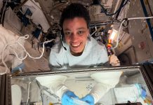 NASA Astronaut Jessica Watkins Experiments with 3D Bioprinting Tissues on ISS iPhone-HTH9L97QXM-IMG_0399.JPG