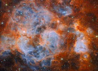 Cosmic Nursery Revealed: Webb Telescope Captures ‘Cauldron’ of Star Birth