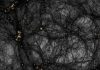 Unveiling the Invisible Universe: Dark Matter’s Cosmic Web Revealed in Stunning Simulation