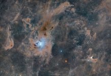 NASA Captures Ethereal ‘Ghost Nebula’ and ‘Iris Nebula’ in Stunning Cepheus Constellation Images