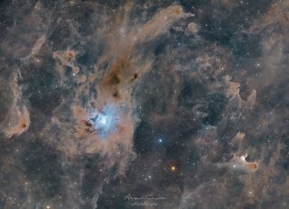 NASA Captures Ethereal ‘Ghost Nebula’ and ‘Iris Nebula’ in Stunning Cepheus Constellation Images