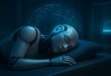 Google AI Learns to ‘Sleep’ to Retain Knowledge